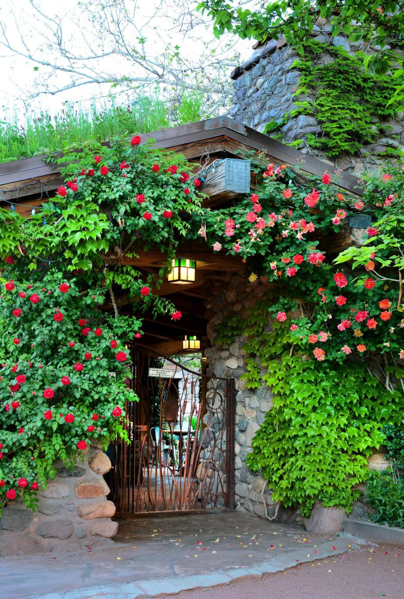 El Portal Sedona Hotel Dış mekan fotoğraf